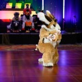 Biggest Little Fur Con 2026 Day 4