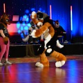 Biggest Little Fur Con 2026 Day 4