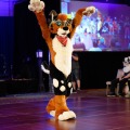 Biggest Little Fur Con 2026 Day 4