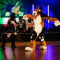 Biggest Little Fur Con 2026 Day 4