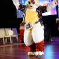 Biggest Little Fur Con 2026 Day 4