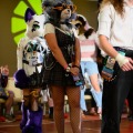 Biggest Little Fur Con 2026 Day 4