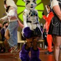 Biggest Little Fur Con 2026 Day 4