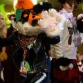 Biggest Little Fur Con 2026 Day 4