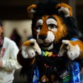 Biggest Little Fur Con 2026 Day 4