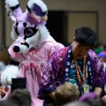 Biggest Little Fur Con 2026 Day 4
