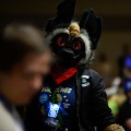 Biggest Little Fur Con 2026 Day 4