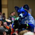Biggest Little Fur Con 2026 Day 4
