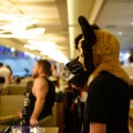Biggest Little Fur Con 2026 Day 4