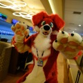Biggest Little Fur Con 2026 Day 4