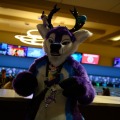 Biggest Little Fur Con 2026 Day 4