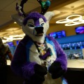 Biggest Little Fur Con 2026 Day 4