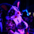 Biggest Little Fur Con 2026 Day 4