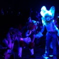 Biggest Little Fur Con 2026 Day 4