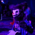 Biggest Little Fur Con 2026 Day 4