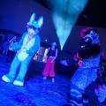 Biggest Little Fur Con 2026 Day 4