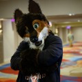 Biggest Little Fur Con 2026 Day 1