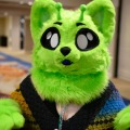 Biggest Little Fur Con 2026 Day 1