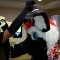 Biggest Little Fur Con 2026 Day 1