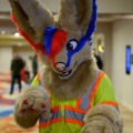 Biggest Little Fur Con 2026 Day 1
