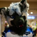 Biggest Little Fur Con 2026 Day 1