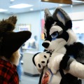 Biggest Little Fur Con 2026 Day 1