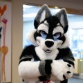 Biggest Little Fur Con 2026 Day 1