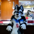 Biggest Little Fur Con 2026 Day 1