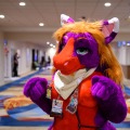 Biggest Little Fur Con 2026 Day 1
