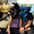 Biggest Little Fur Con 2026 Day 1
