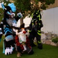 Biggest Little Fur Con 2026 Day 1