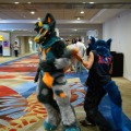 Biggest Little Fur Con 2026 Day 1