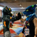 Biggest Little Fur Con 2026 Day 1