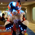 Biggest Little Fur Con 2026 Day 1