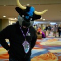 Biggest Little Fur Con 2026 Day 1