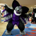 Biggest Little Fur Con 2026 Day 1