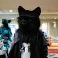 Biggest Little Fur Con 2026 Day 1