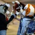 Biggest Little Fur Con 2026 Day 1