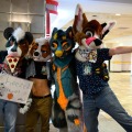 Biggest Little Fur Con 2026 Day 1