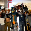 Biggest Little Fur Con 2026 Day 1