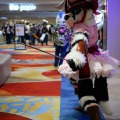 Biggest Little Fur Con 2026 Day 1