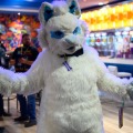 Biggest Little Fur Con 2026 Day 1