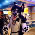 Biggest Little Fur Con 2026 Day 1