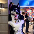 Biggest Little Fur Con 2026 Day 1