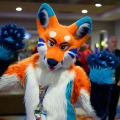 Biggest Little Fur Con 2026 Day 1