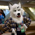 Biggest Little Fur Con 2026 Day 1