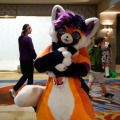 Biggest Little Fur Con 2026 Day 1