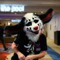Biggest Little Fur Con 2026 Day 1