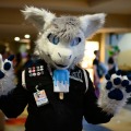 Biggest Little Fur Con 2026 Day 1