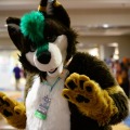 Biggest Little Fur Con 2026 Day 1